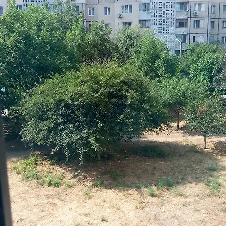 Cozy On Nevskogo